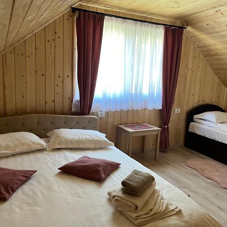 Ferienwohnung Casa Zorilor Şugag Exterior foto